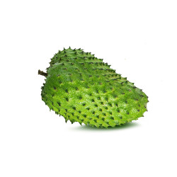 GRAVIOLA / COROSSOL 5KG